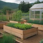 Comment créer un potager en permaculture pour une alimentation saine et durable